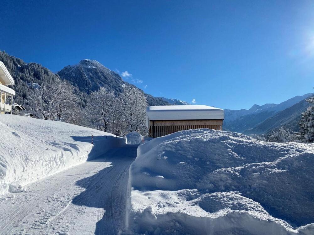 Apartamento Haus Albuin Sankt Gallenkirch Exterior foto
